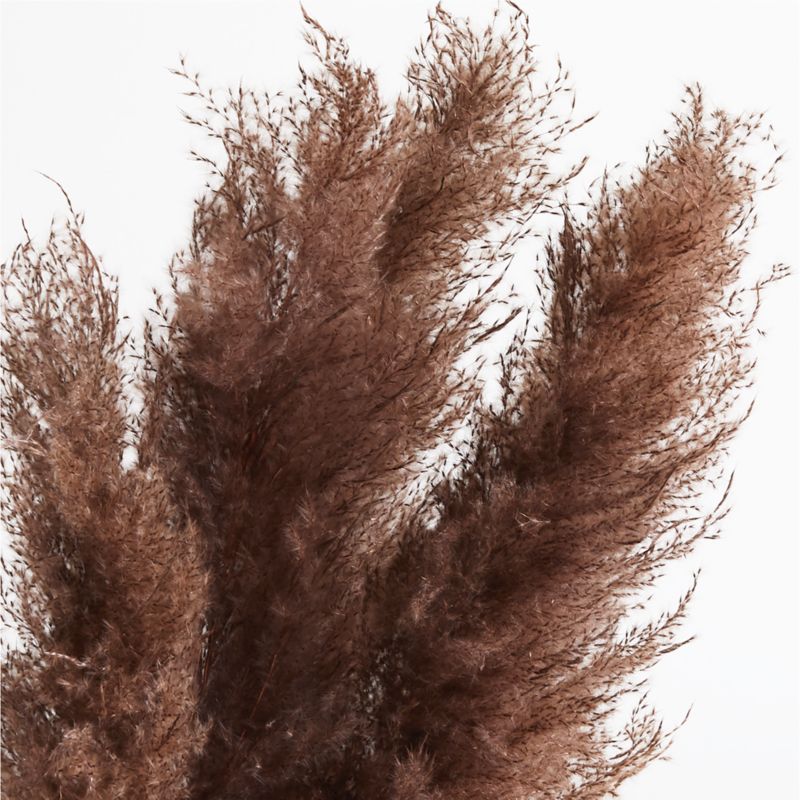 Dried Brown Grass Plume - image 2 of 3