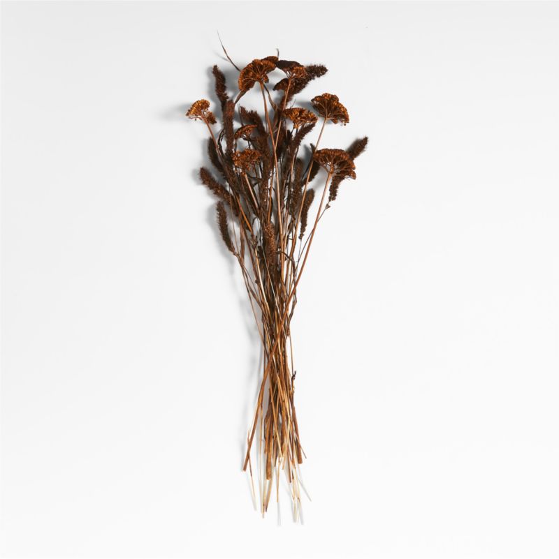 Dark Brown Yarrow & Setaria Dried Flower Bouquet Crate & Barrel Canada