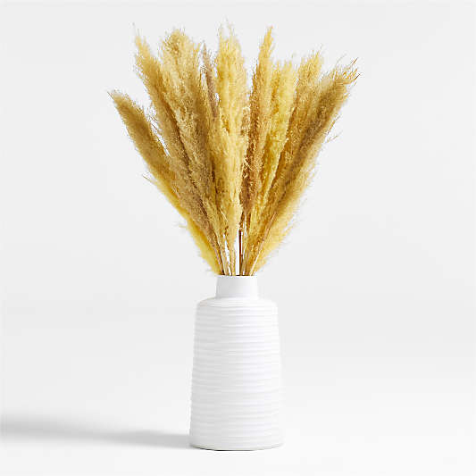 Golden Yellow Dried Grass Plume Bunch