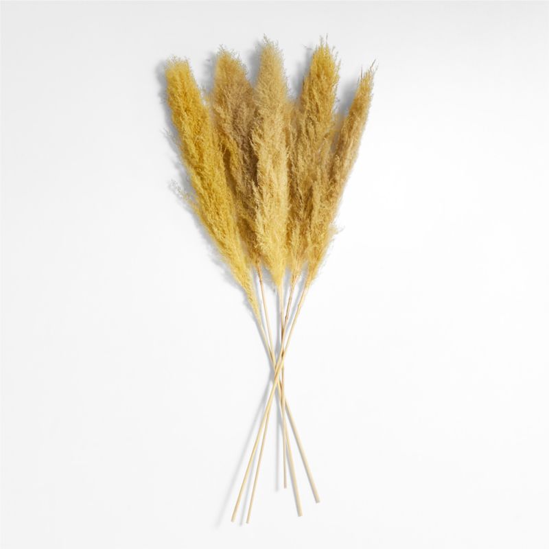 Golden Yellow Dried Grass Plume Bunch