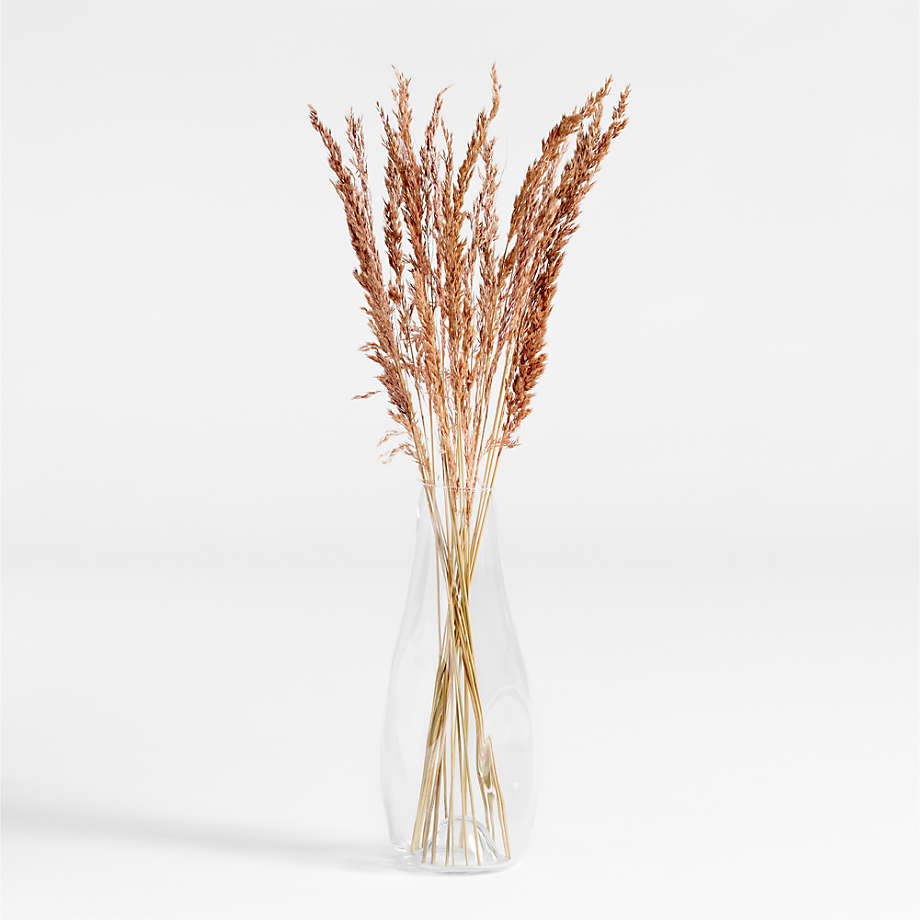 Dried Mauve Oats Bunch | Crate & Barrel