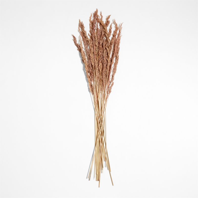 Dried Mauve Oats Bunch