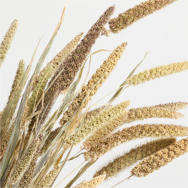 Natural Beige Dried Millet Plant Bunch - image 2 of 3