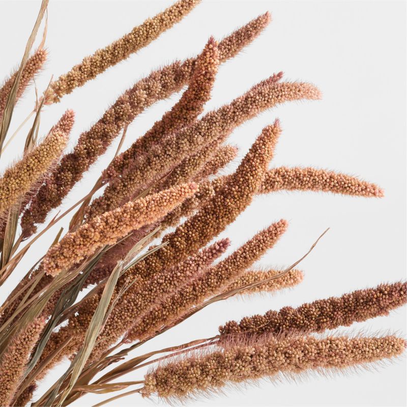 Pink Dried Millet Plant Bunch