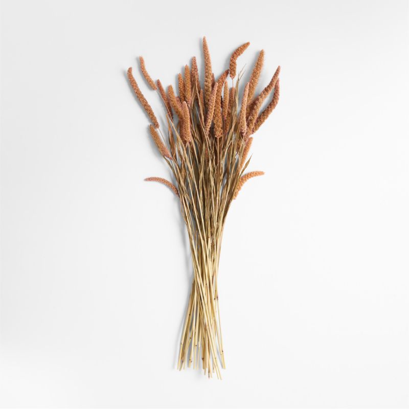 Pink Dried Millet Plant Bunch