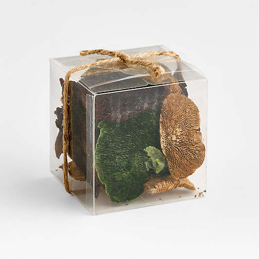 Dried Mushroom Bowl & Vase Filler