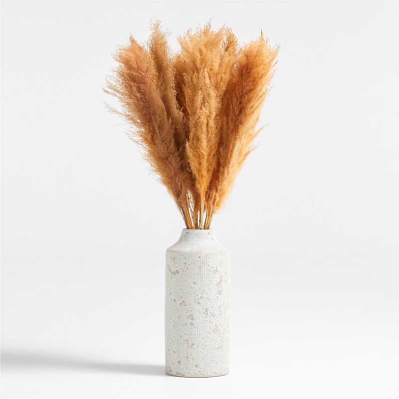 Pale Peach Dried Grass Plume Bunch