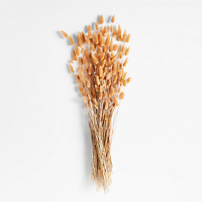 View Camel Lagarus Dried Bunny Tail Bunch details