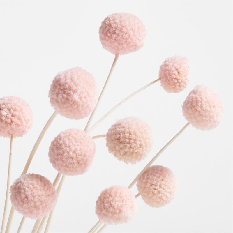 Pink Dried Craspedia Flower Bunch