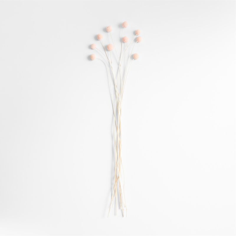 Pink Dried Craspedia Flower Bunch