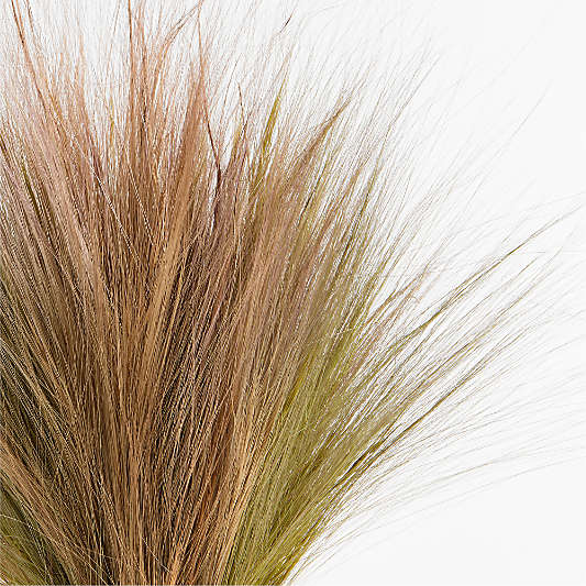 Dried Mixed Rainbow Grass Bunch 28"
