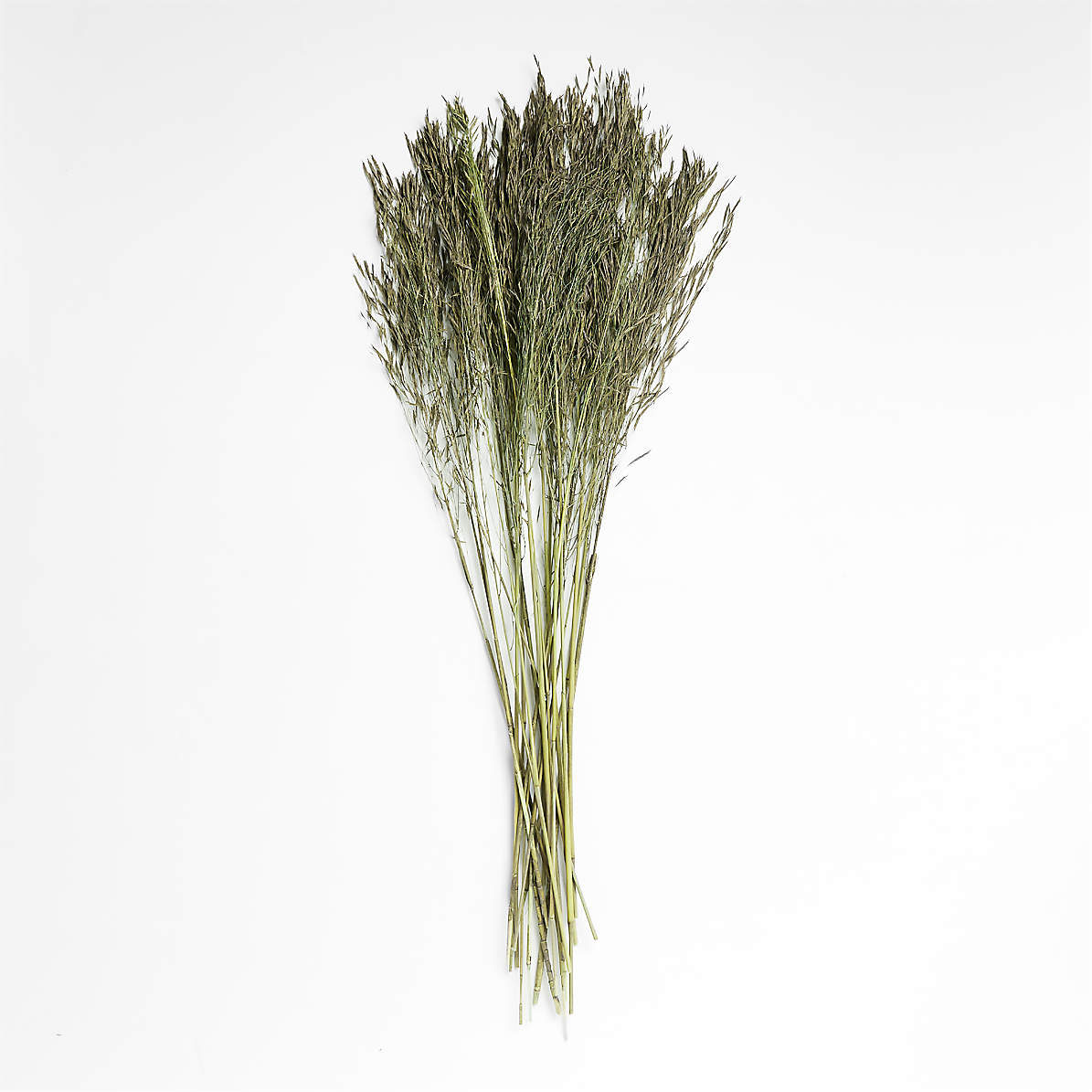 Sage grass clearance