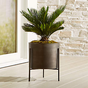 5' Faux Paradise Palm Plant + Reviews