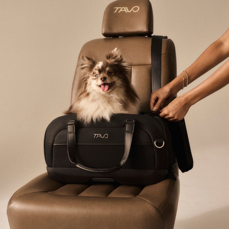 Dupree II Carry-on Pet Car Seat, in Onyx - image 2 of 10