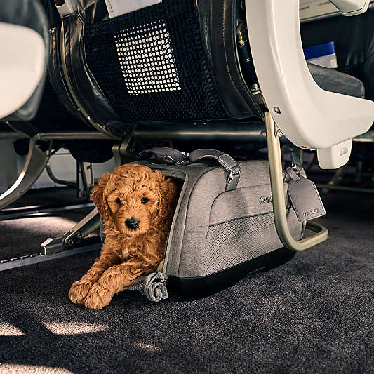 Dupree II Carry-on Pet Car Seat, in Merle