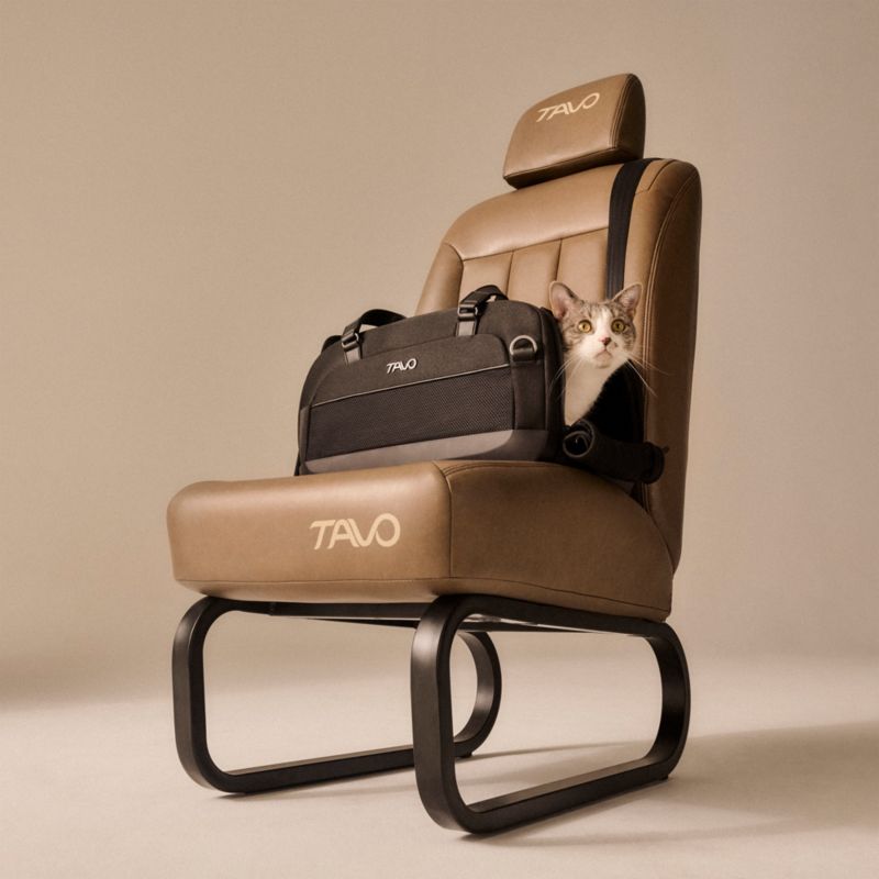 Dupree II Carry-on Pet Car Seat, in Onyx - image 3 of 10