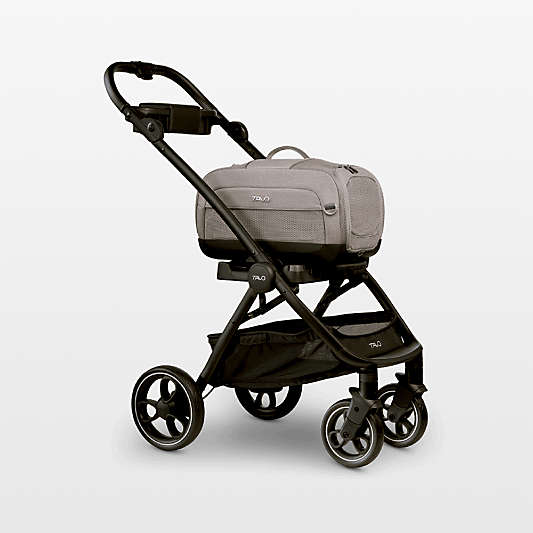 Dupree II Pet Travel System