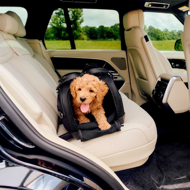 Dupree II Pet Travel System, in Onyx - image 5 of 11