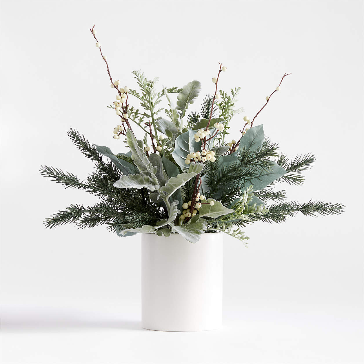 Dusty Miller Potted Arrangement Tall + Reviews Crate & Barrel