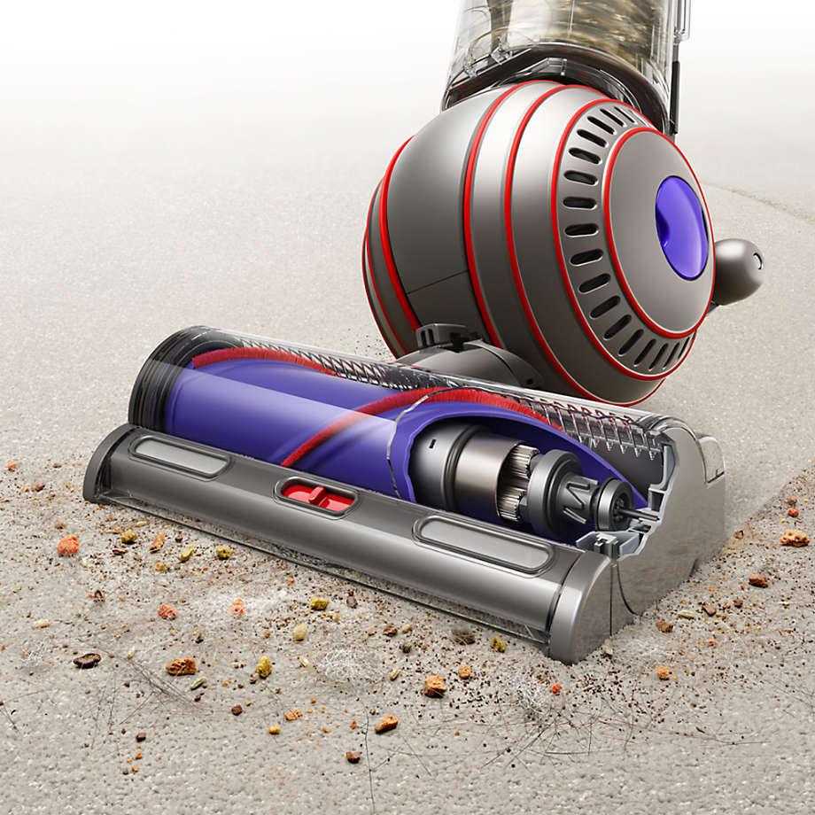 Dyson Ball Animal 3 Upright Vacuum Cleaner Reviews Crate Barrel