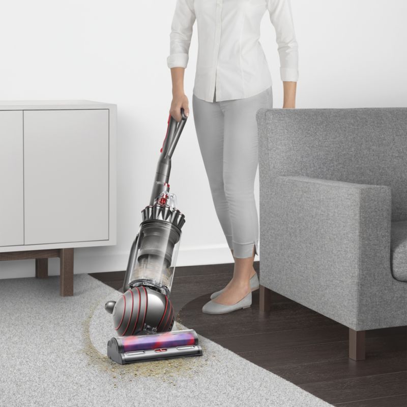 Dyson Ball Animal 3 Upright Vacuum Cleaner + Reviews | Crate & Barrel