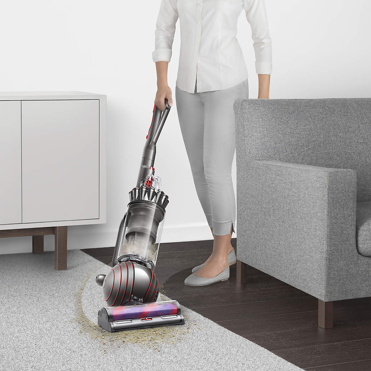 Ball Animal 3 Upright Vacuum Cleaner + Reviews | Crate & Barrel