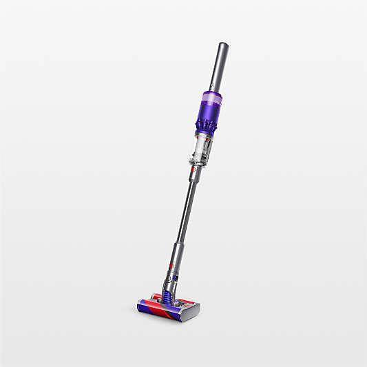 Dyson Cordless Vacuums and Air Purifiers for Pets & Homes Crate & Barrel