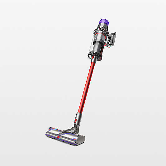 Dyson Cordless Vacuums and Air Purifiers for Pets & Homes Crate & Barrel