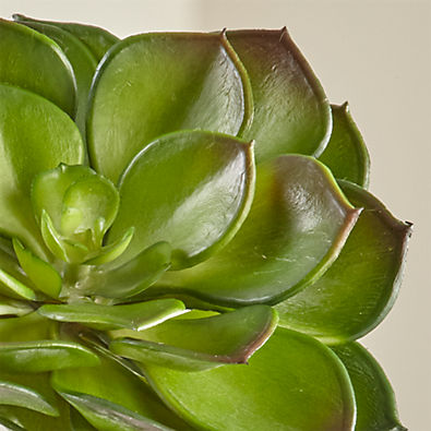 View Faux Echeveria Green Succulent Stem details