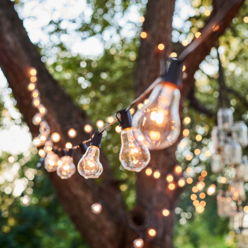 20' Vintage Edison Bulb Outdoor String Lights + Reviews | Crate & Barrel