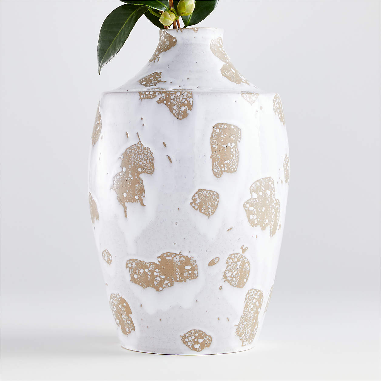 Edmer Spotted Large White Vase Reviews Crate And Barrel 8346