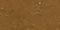 Gilded Golden Resin