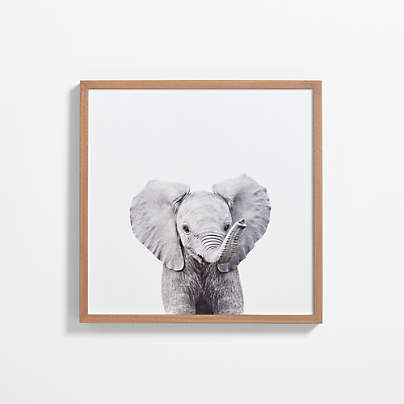 Baby Elephant Walnut Wood Framed Wall Art Print