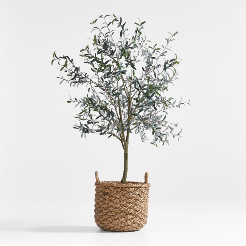 Emlyn Basket & Faux Olive Tree 7' Arrangement + Reviews | Crate & Barrel