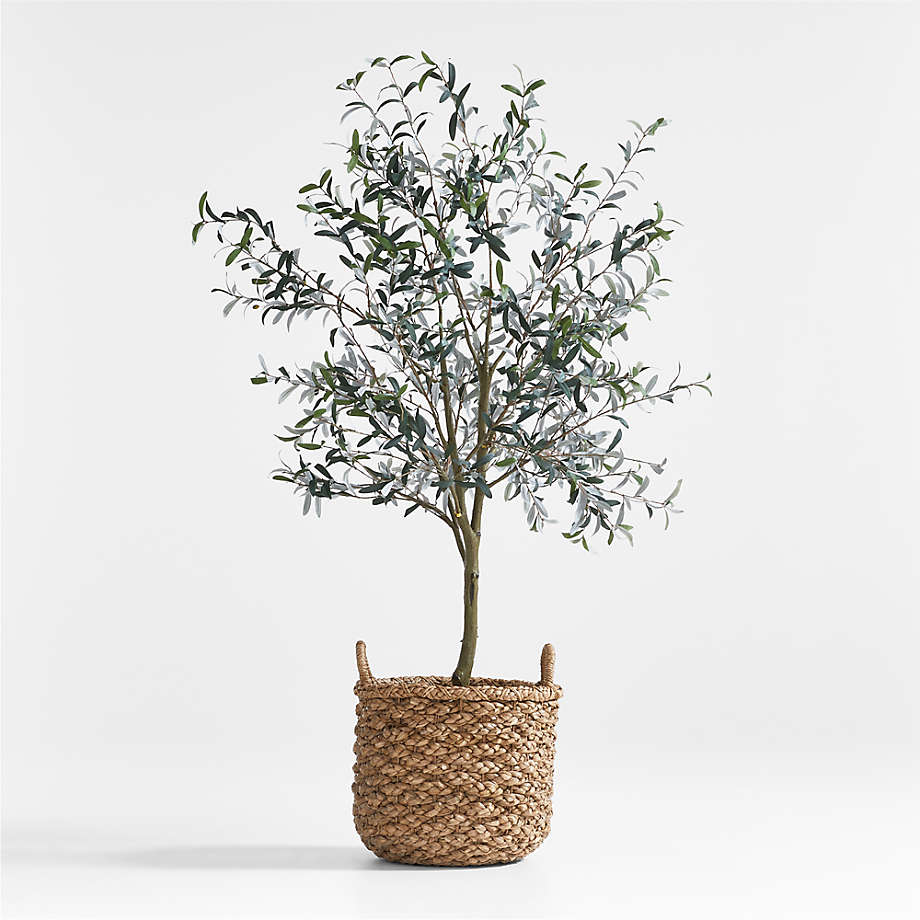 Emlyn Basket & Faux Olive Tree 7' Arrangement Crate & Barrel