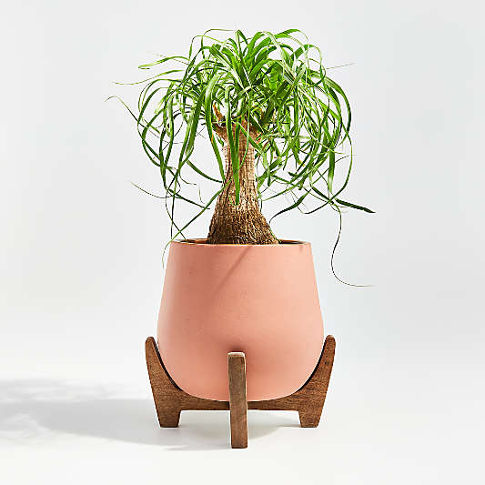 Evie Medium Planter with Stand