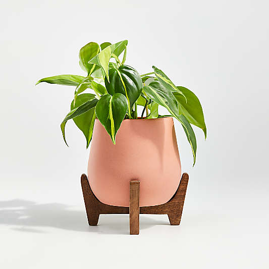 Evie Small Planter with Stand