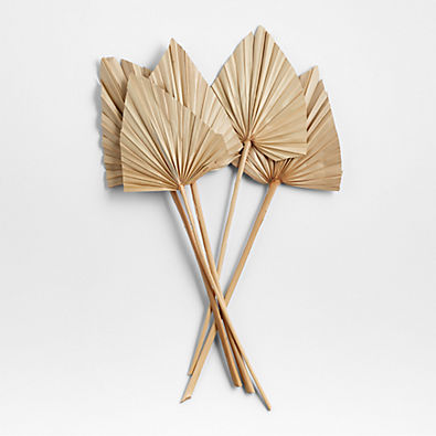 View Dried Palm Leaves, Set of 5 details