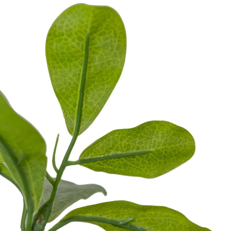 Faux Aralia Tree 6' - image 1 of 6