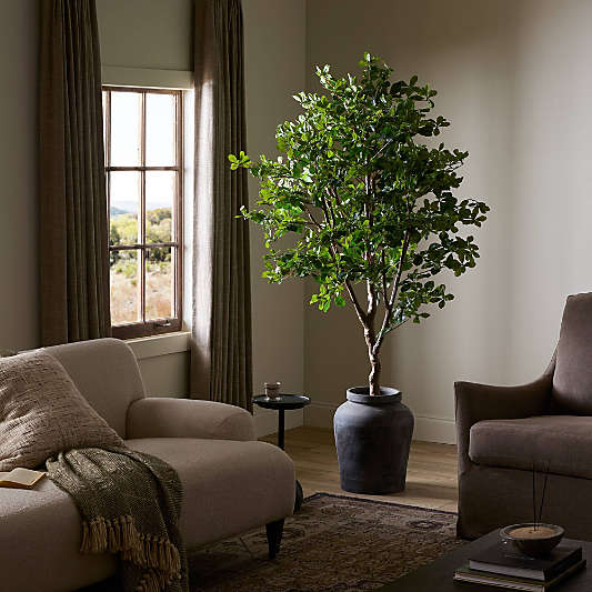 Faux Aralia Tree 6'
