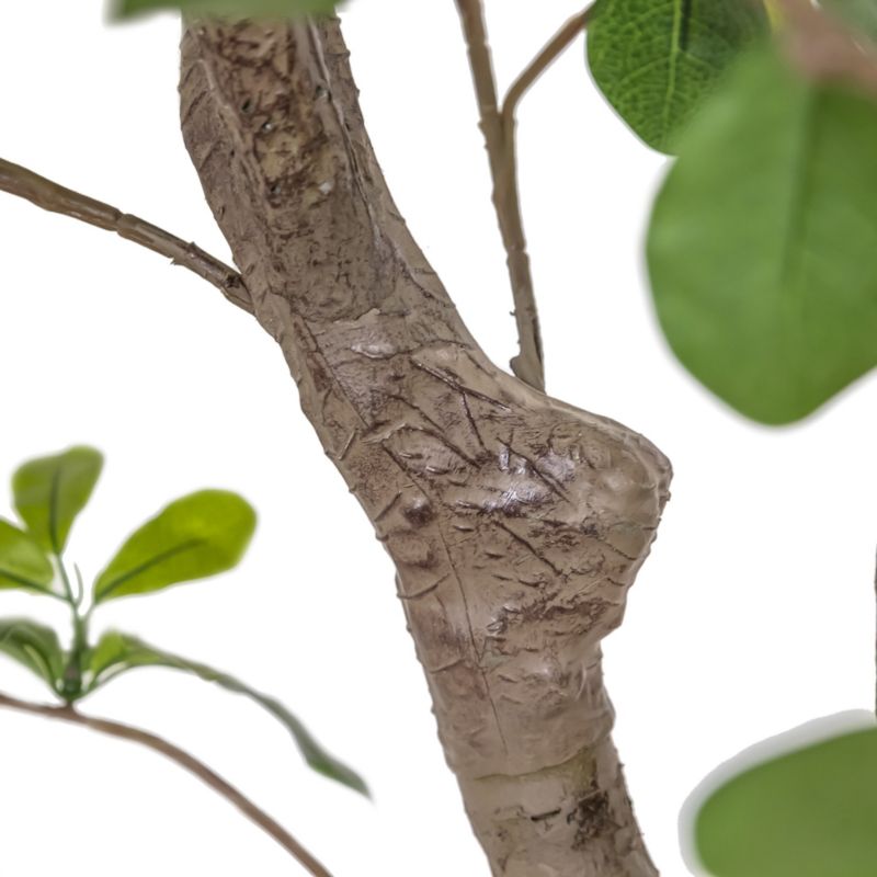 Faux Aralia Tree 8' - image 1 of 4