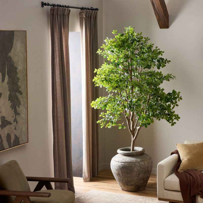 Faux Aralia Tree 8' - image 3 of 4