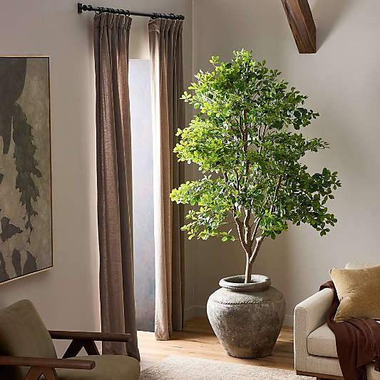 Faux Aralia Tree 8'