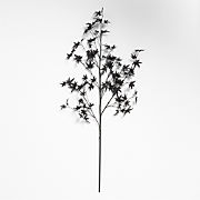 Faux Pre-Lit Black Branch Tree 3'