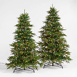 Christmas Trees & Faux Trees | Crate & Barrel