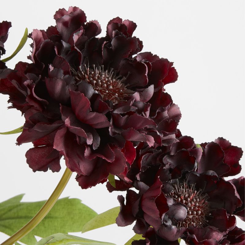 Faux Burgundy Scabiosa Stem - image 3 of 5