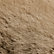 Sierra Tan