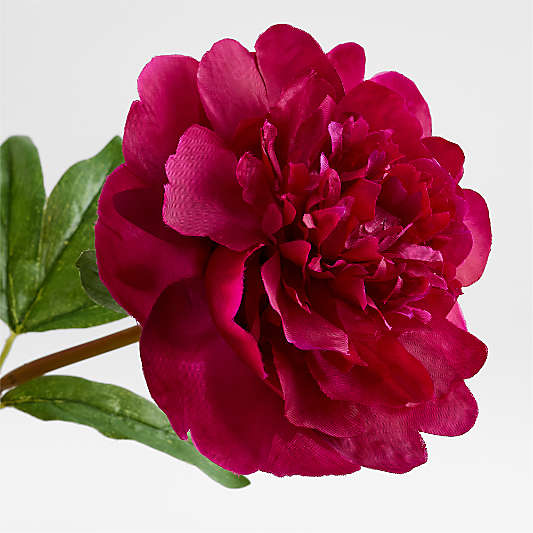 Faux Fuschia Peony Stem 20"