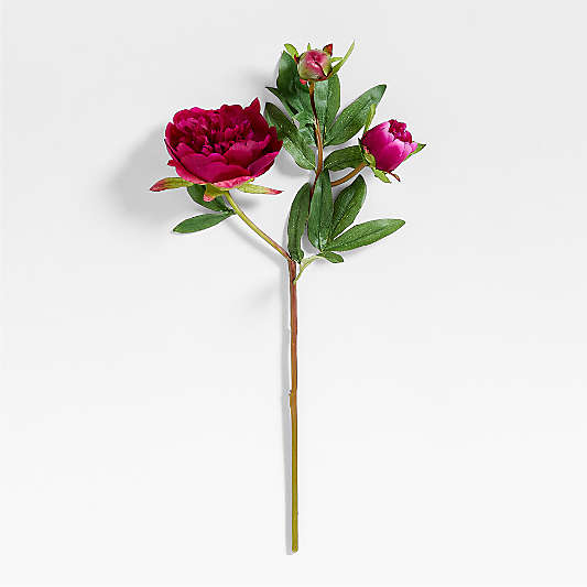 Faux Fuschia Peony Stem 20"