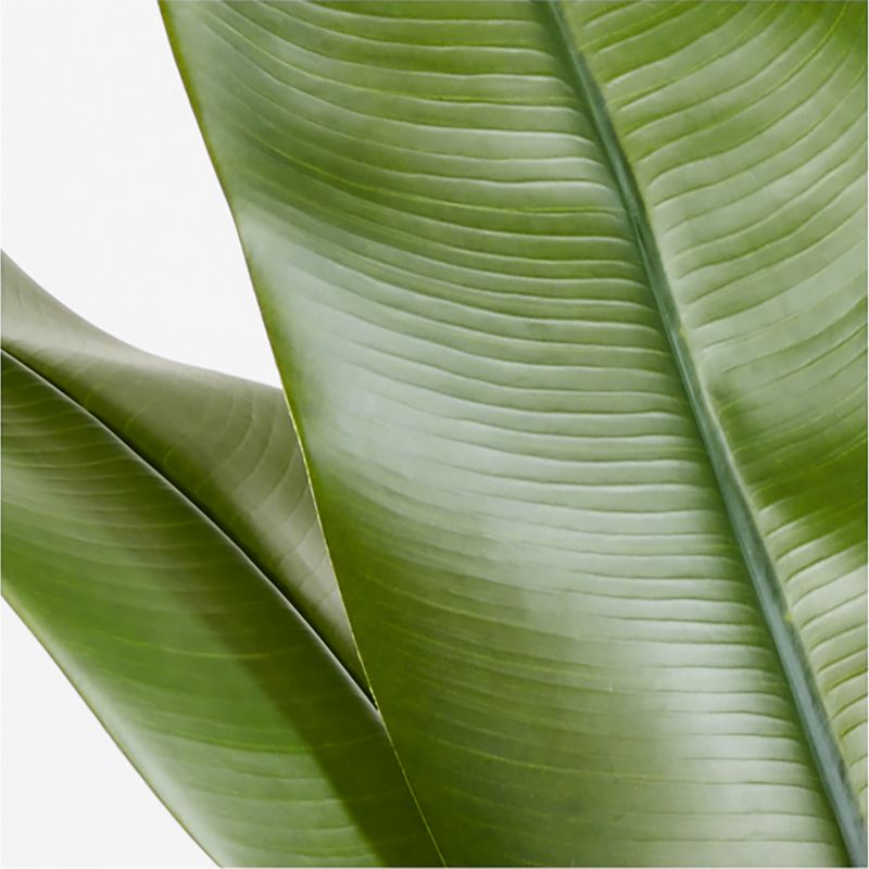 Faux Green Banana Leaf Stem 66" - image 2 of 4